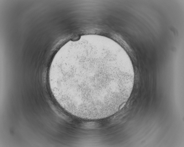 X0000110910058200907301550