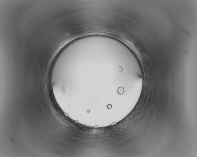 X0000110910060200907301550