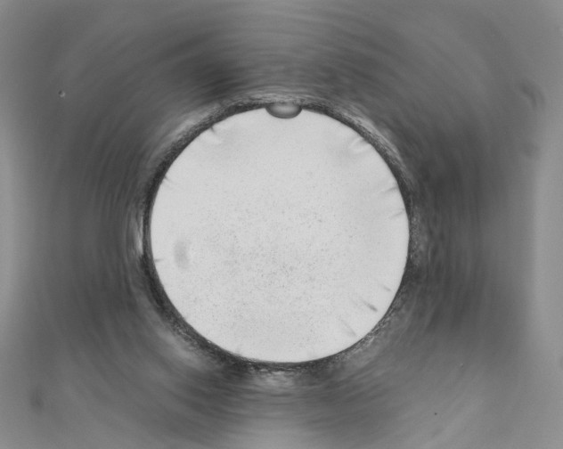 X0000110910062200907301550