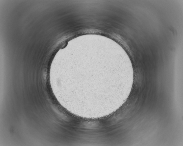 X0000110910063200907301550