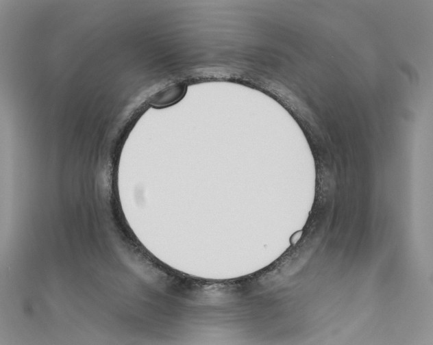 X0000110910064200907301550