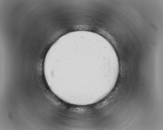 X0000110910065200907301550