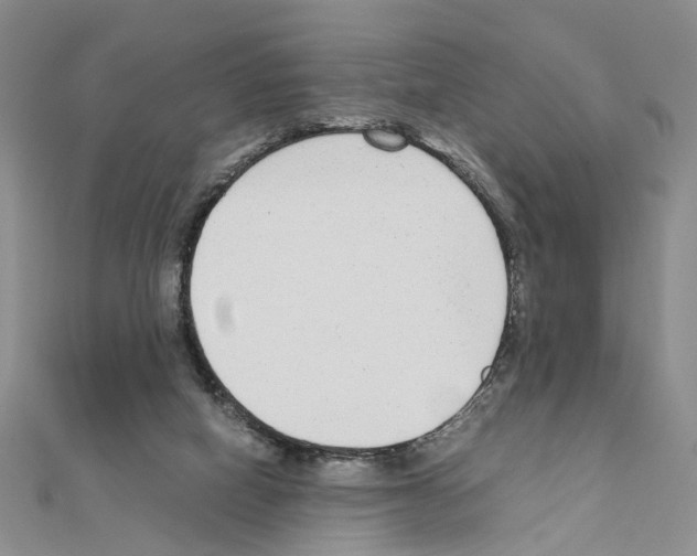 X0000110910066200907301550