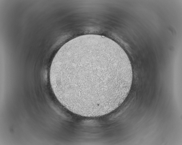 X0000110910067200907301550