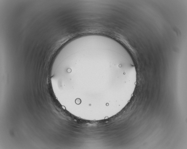 X0000110910068200907301550