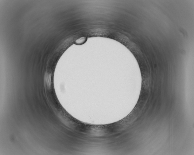 X0000110910070200907301550