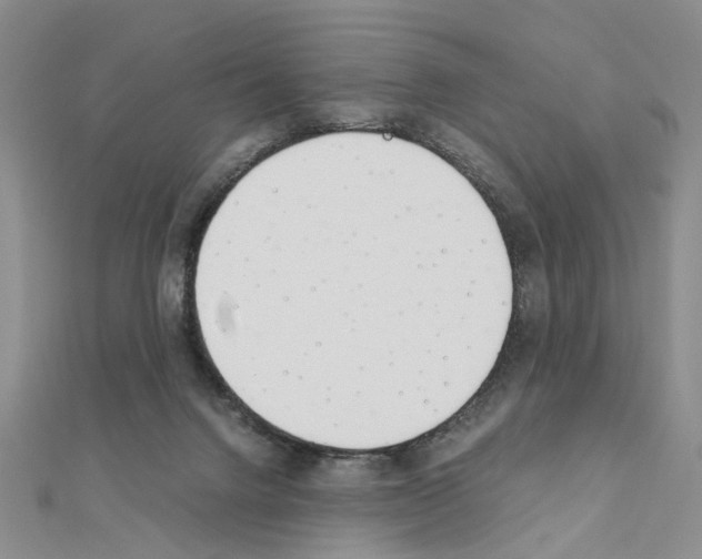 X0000110910072200907301550