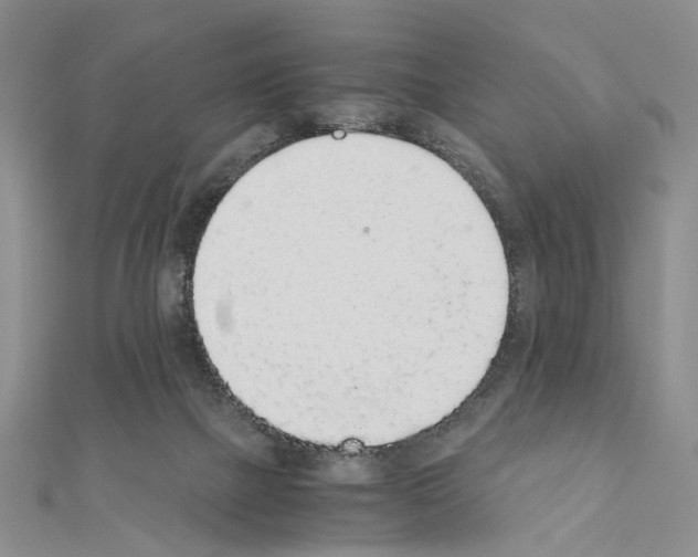 X0000110910073200907301550