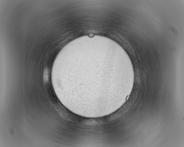 X0000110910075200907301550