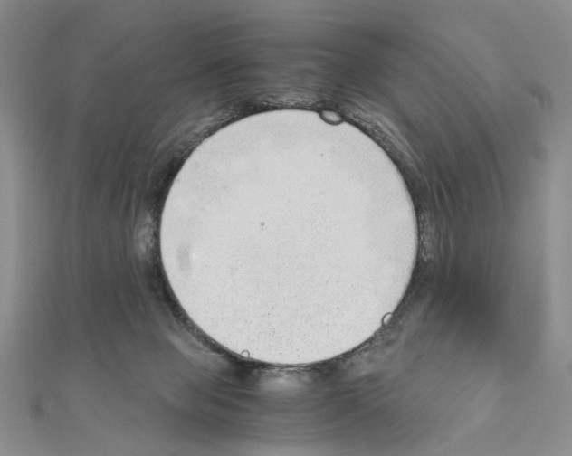 X0000110910077200907301550