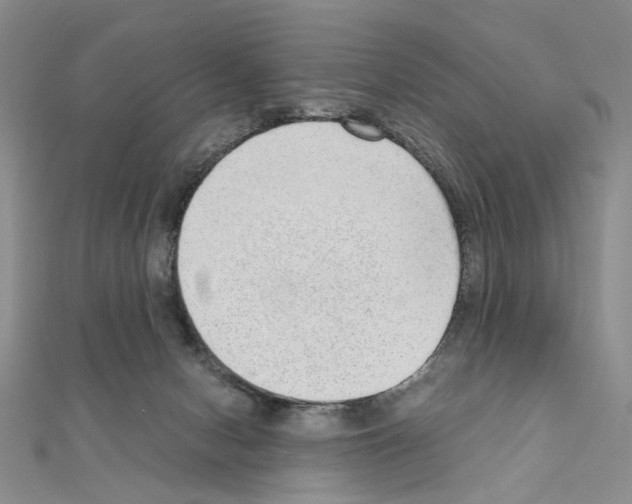 X0000110910078200907301550