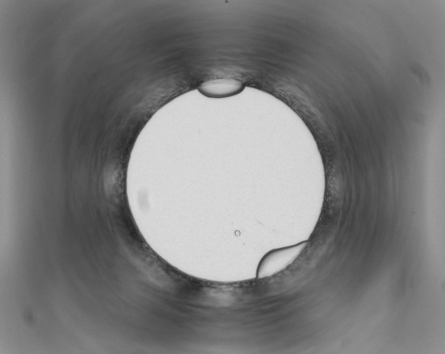 X0000110910079200907301550