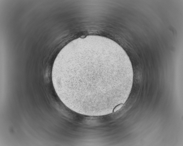 X0000110910082200907301550