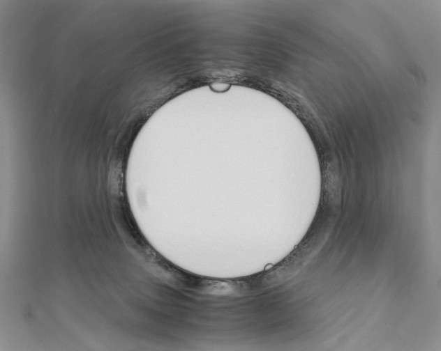 X0000110910083200907301550