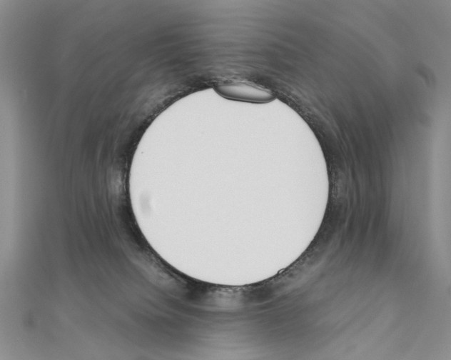 X0000110910084200907301550