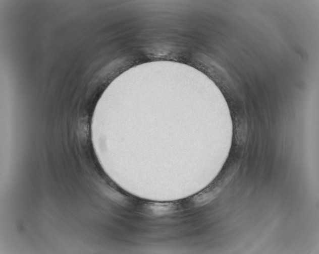 X0000110910085200907301550