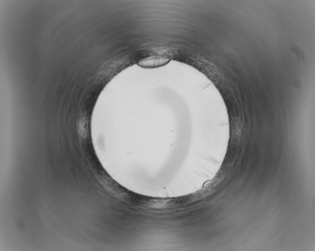 X0000110910090200907301550