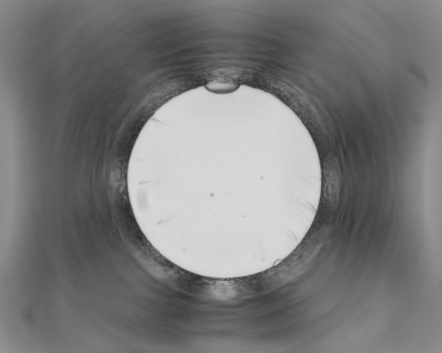 X0000110910091200907301550