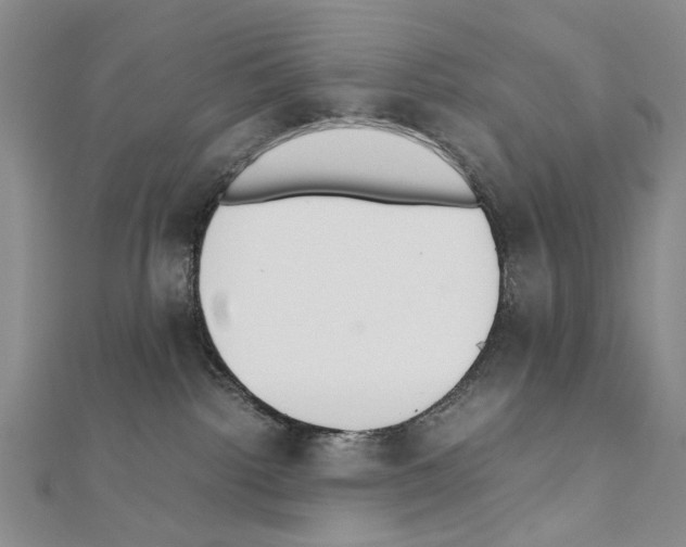 X0000110910092200907301550