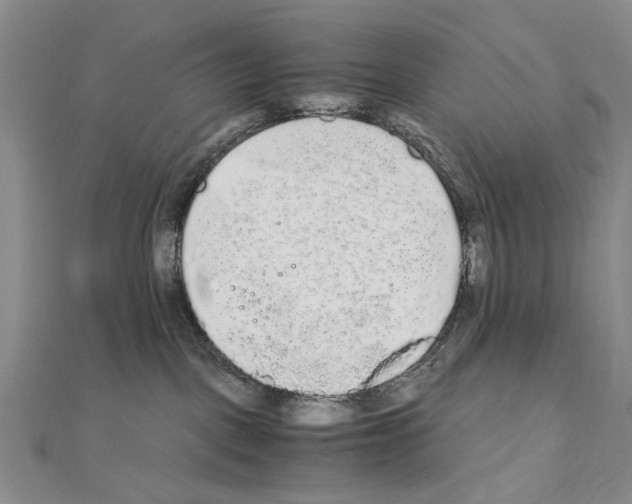 X0000110910093200907301550