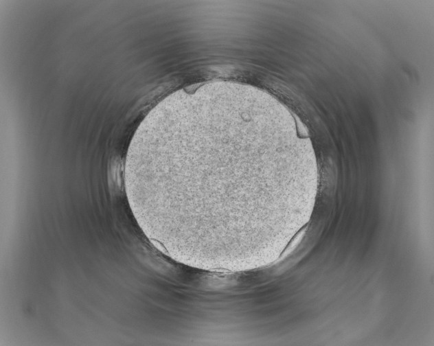 X0000110910094200907301550