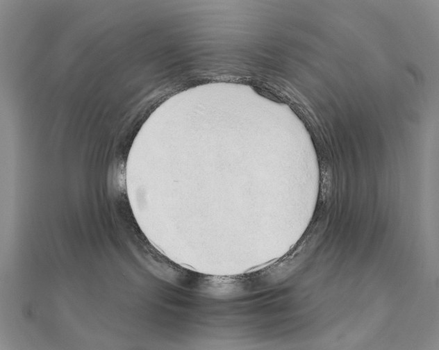 X0000110910095200907301550