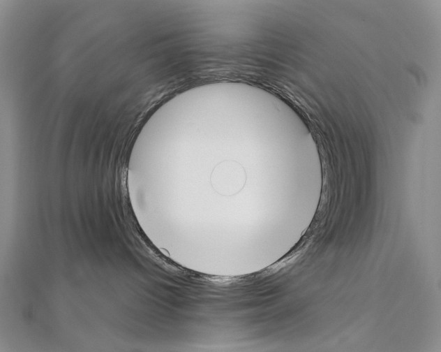 X0000110910096200907301550