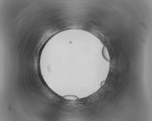 X0000110910098200907301550