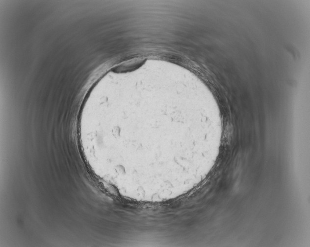 X0000110910099200907301550