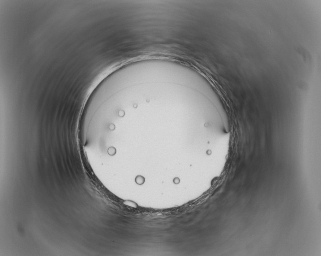 X0000110910100200907301550