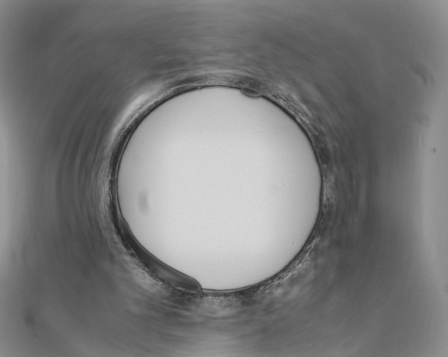 X0000110910101200907301550