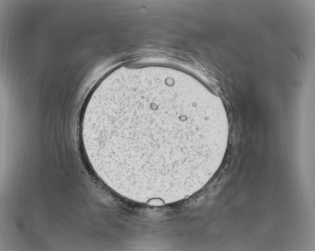 X0000110910103200907301550