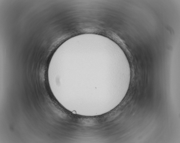 X0000110910106200907301550