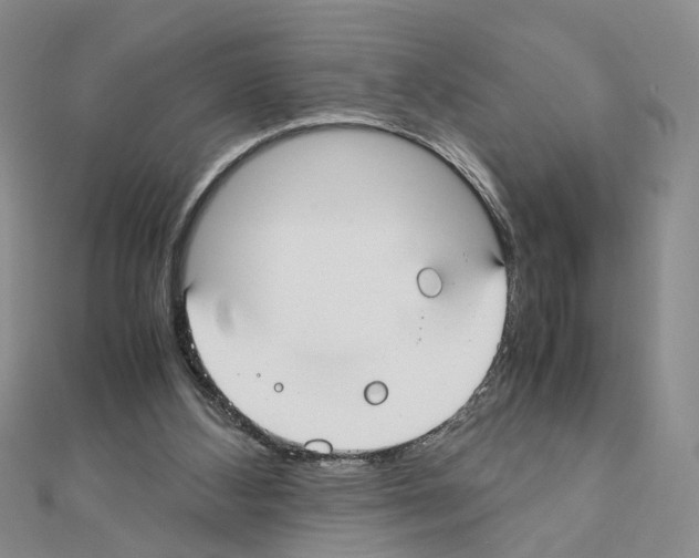 X0000110910108200907301550