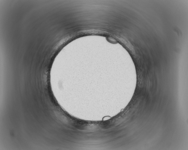 X0000110910111200907301550