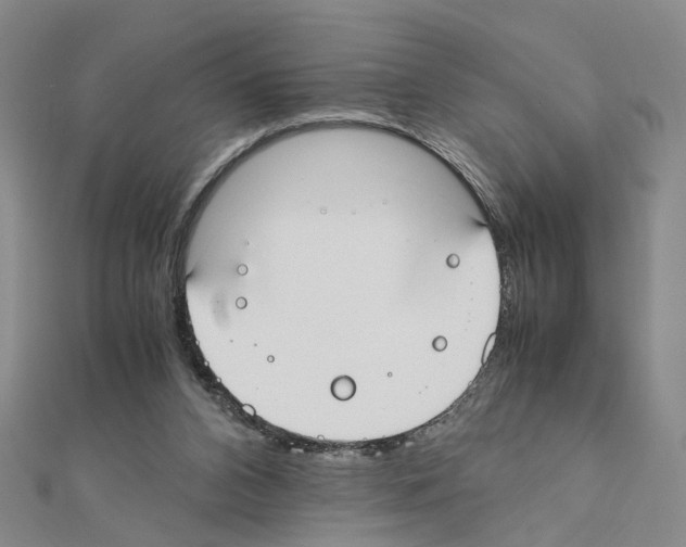 X0000110910112200907301550