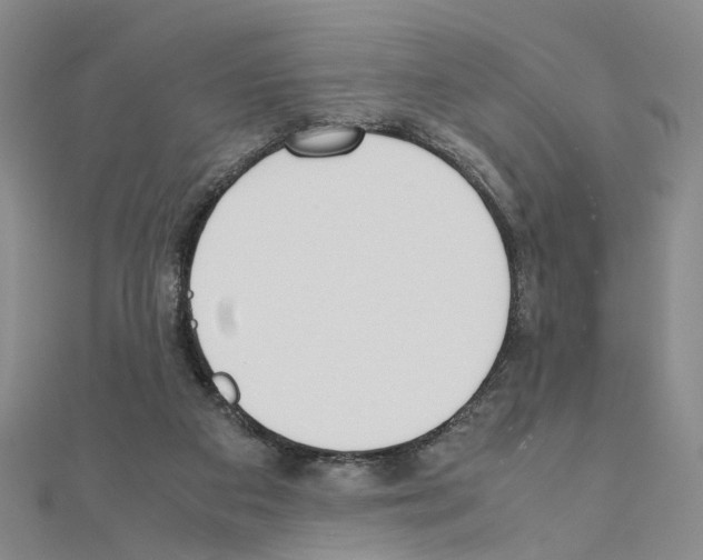 X0000110910113200907301550