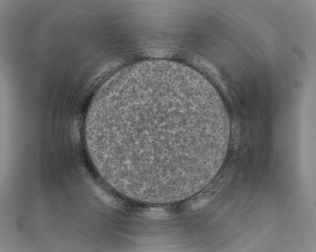 X0000110910114200907301550