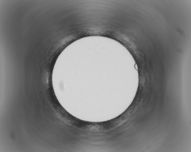 X0000110910115200907301550