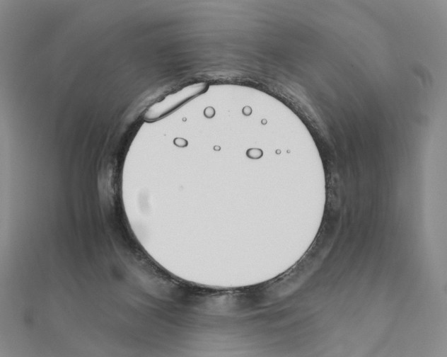 X0000110910116200907301550