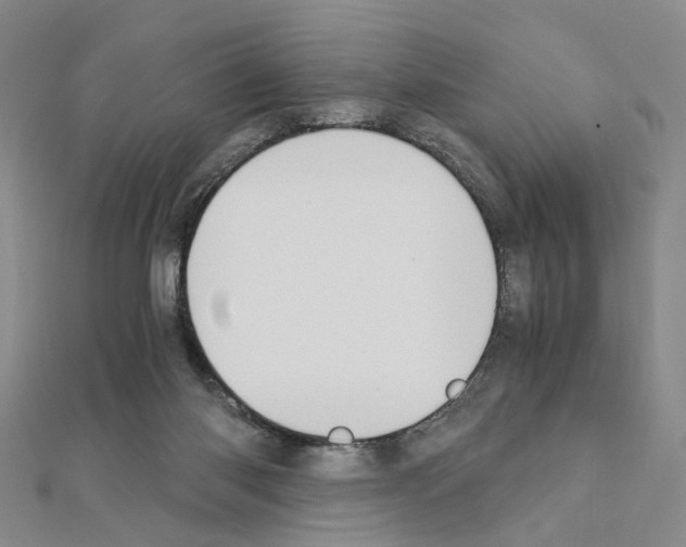 X0000110910118200907301550