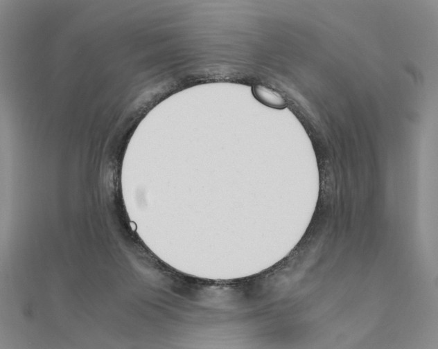 X0000110910119200907301550