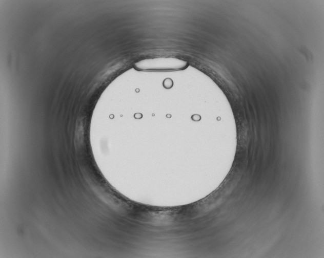 X0000110910120200907301550