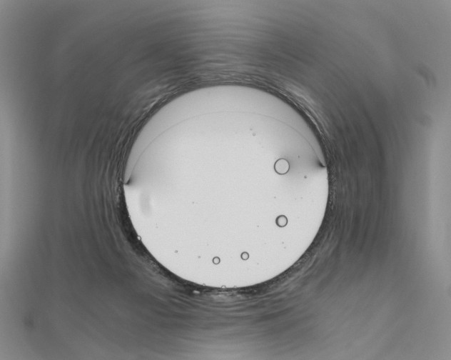 X0000110910121200907301550