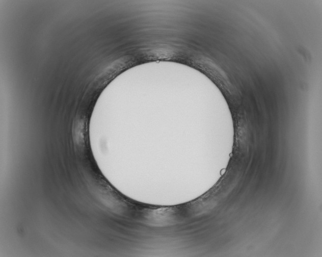 X0000110910122200907301550