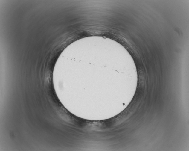 X0000110910125200907301549