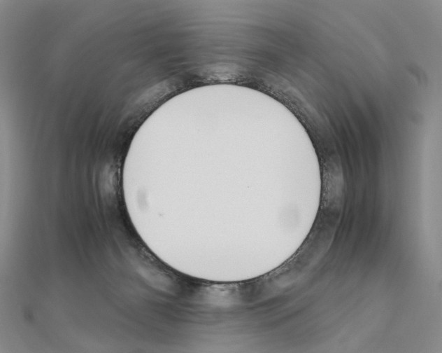 X0000110910126200907301549