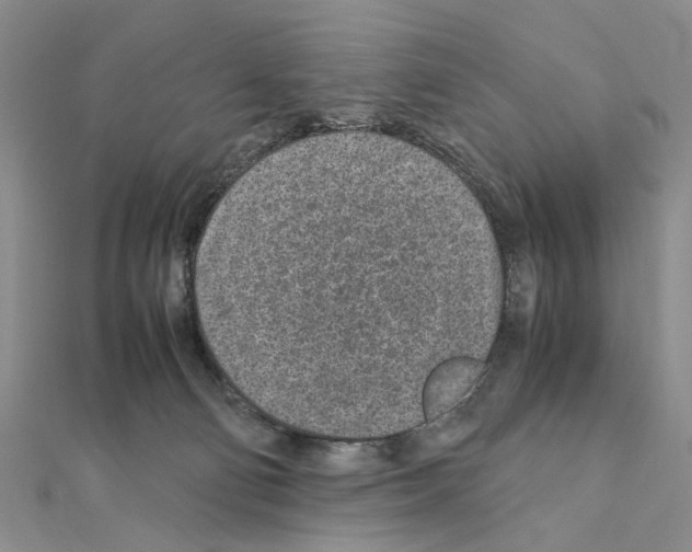 X0000110910130200907301549