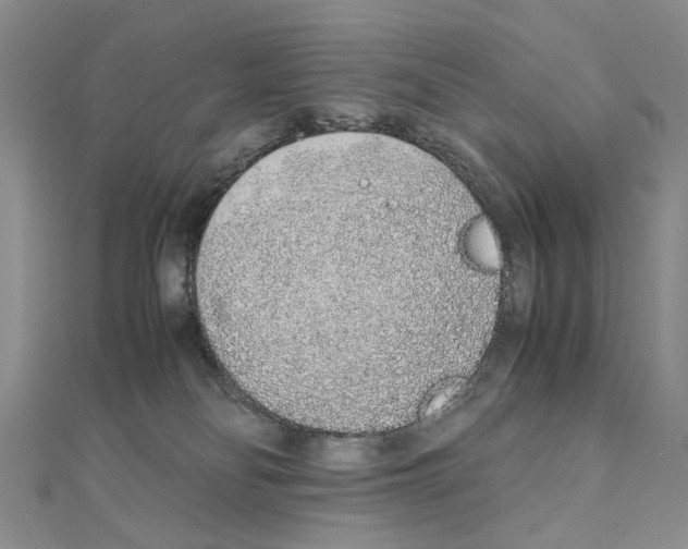 X0000110910134200907301549