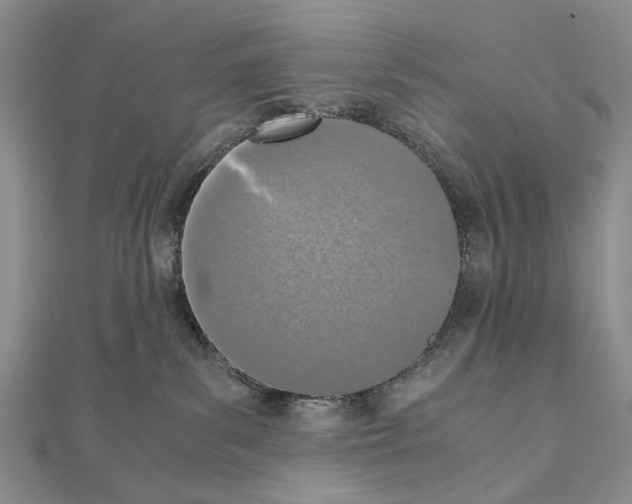 X0000110910139200907301549